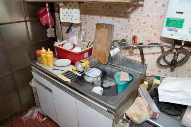 自力でゴミ屋敷のゴキブリを駆除する方法は?